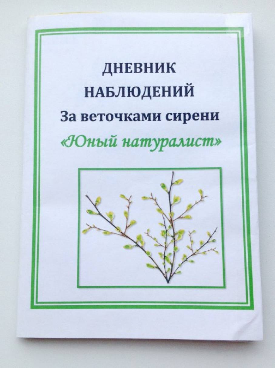 Смотреть фотографию №11 Фото №11 Природа планета Земля экология природное окружение в детском саду