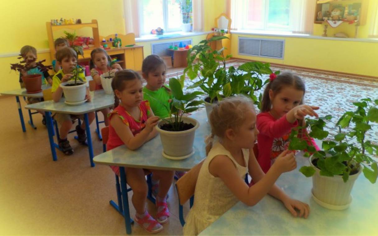 Смотреть фотографию №33 Фото №33 Проведение НОД Аппликация