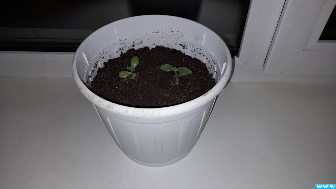 �������������-����������������� ������ ������� �� ����