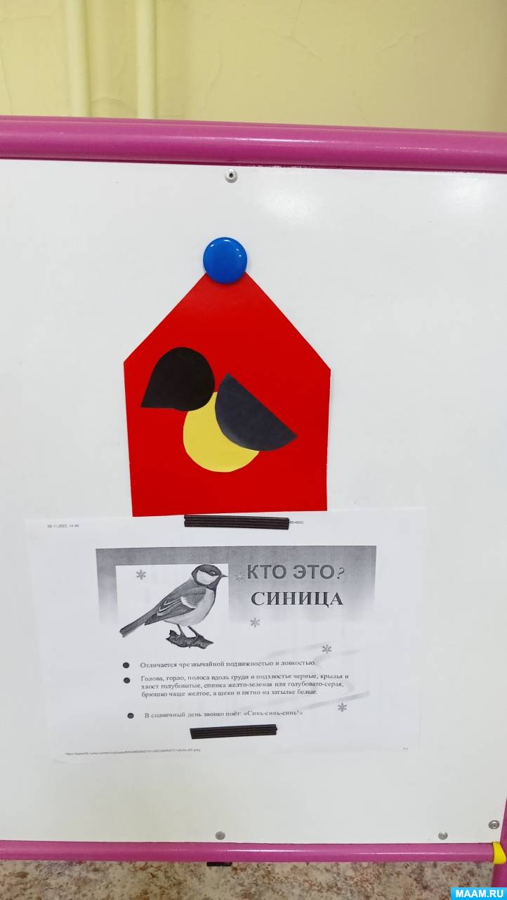 Мастер-класс по изготовлению аппликации «Домик для синички» в первой ...