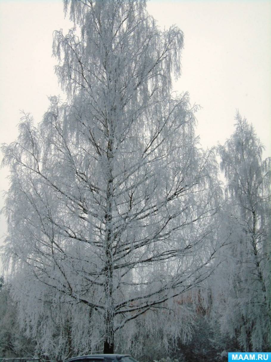 Фотозарисовка «Синий иней» Фото Фотозарисовка «Синий иней»