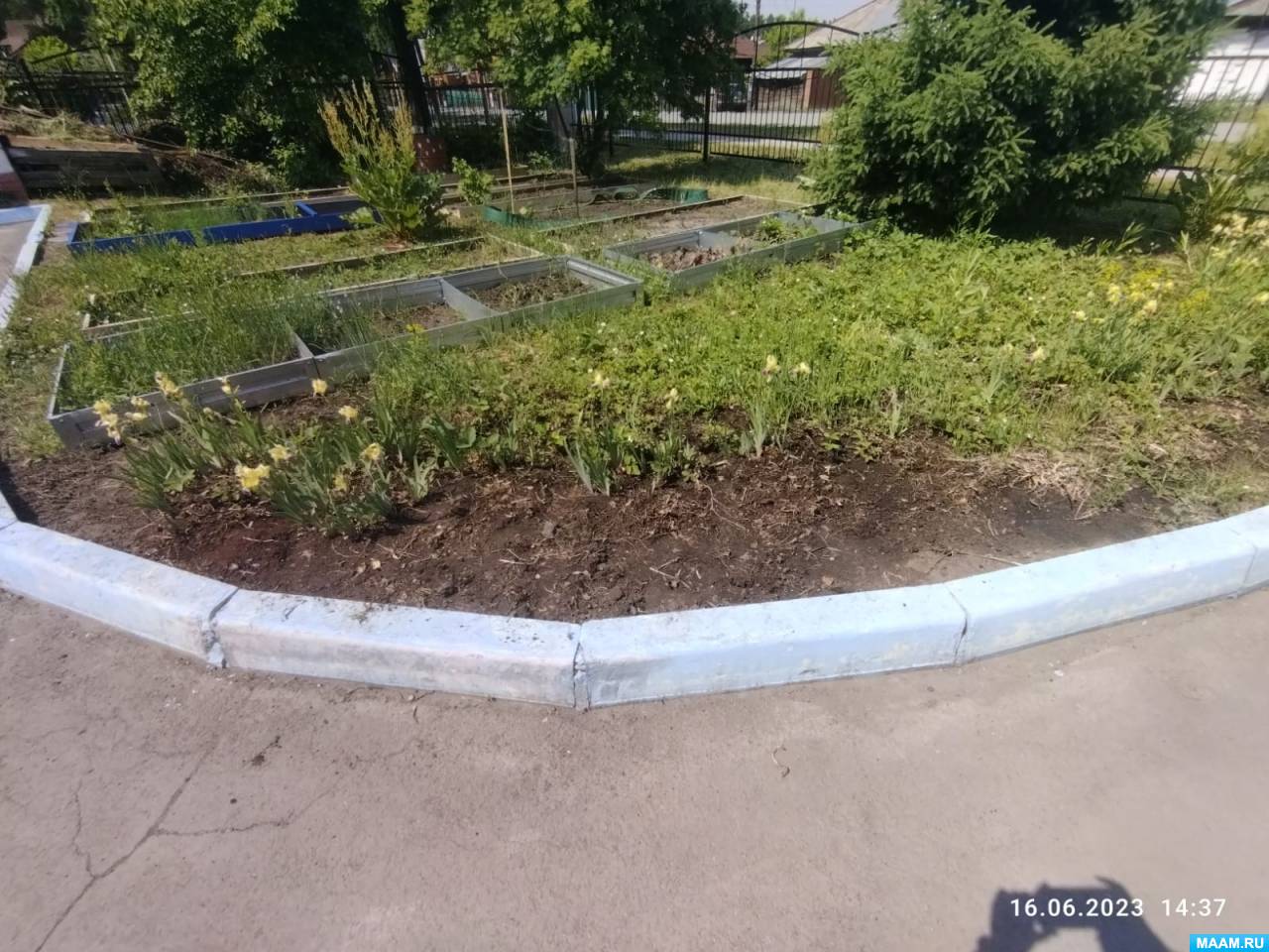 Огород на участке детского сада