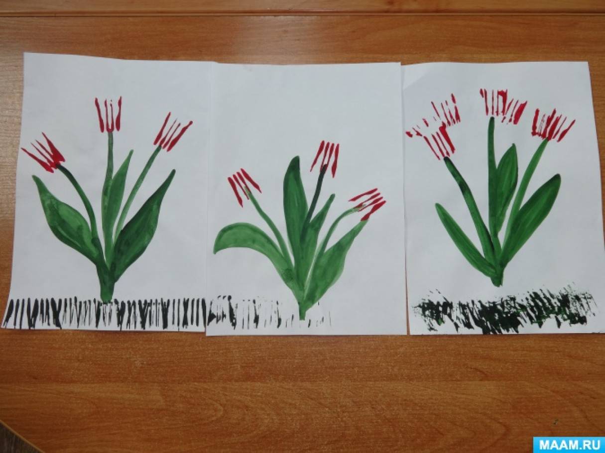 Рисование тюльпаны в средней группе. Рисование тюльпаны в младшей группе. Первоцветы средняя группа. Рисование первоцветы в средней группе. Нод первоцветы