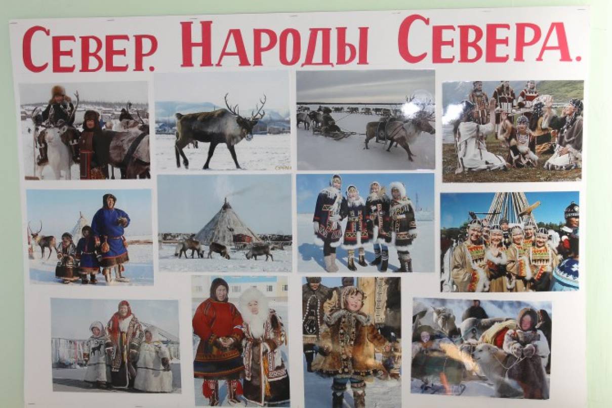 Конспект непосредственной образовательной деятельности с детьми подготовительной к школе группы «Север. Животные Севера» Фото Конспект непосредственной образовательной деятельности с детьми подготовительной к школе группы «Север. Животные Севера»