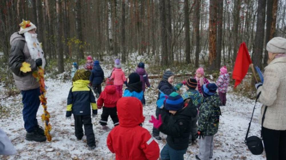 Экскурсия в осенний лес Фото Экскурсия в осенний лес