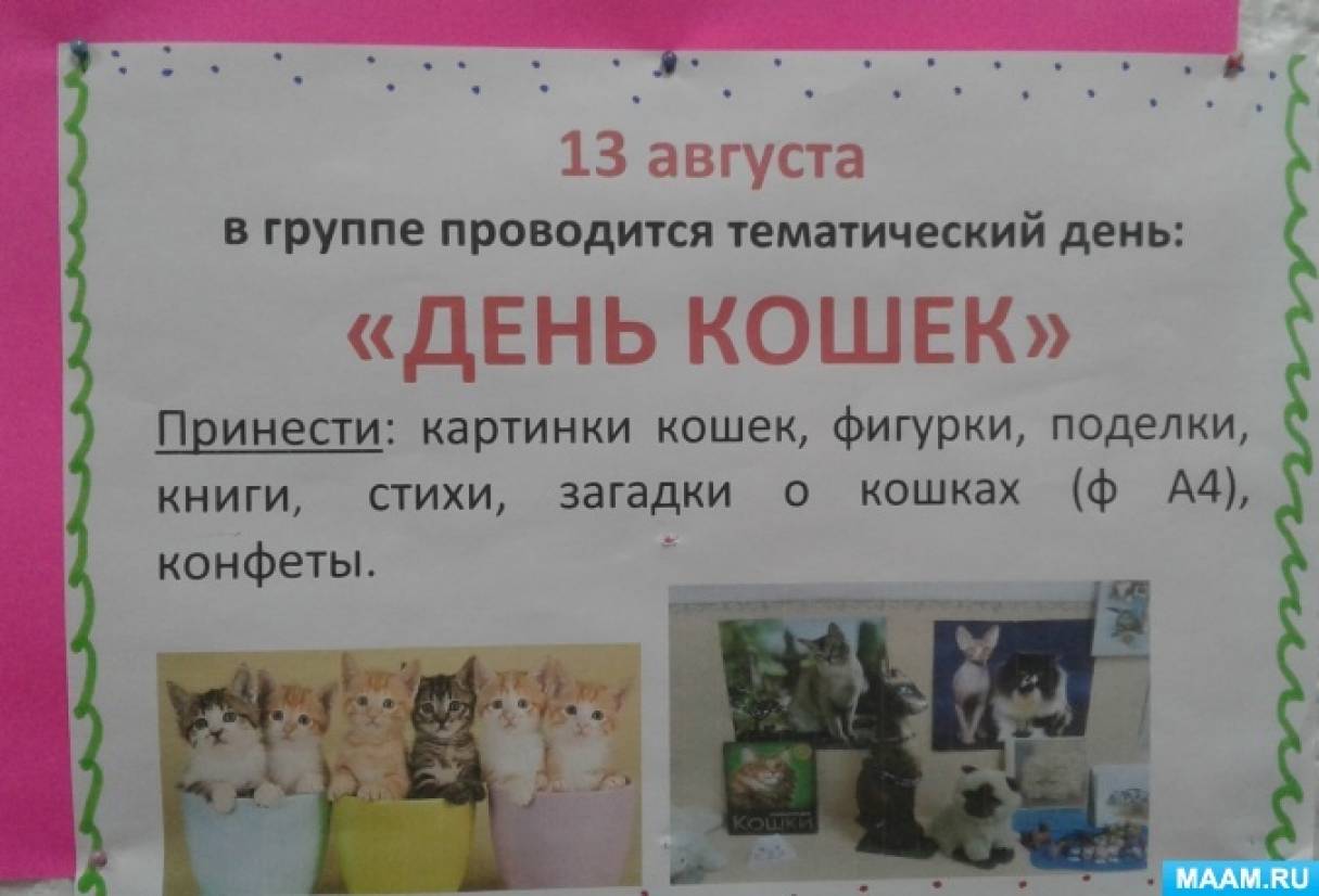 Проект кошки в средней группе