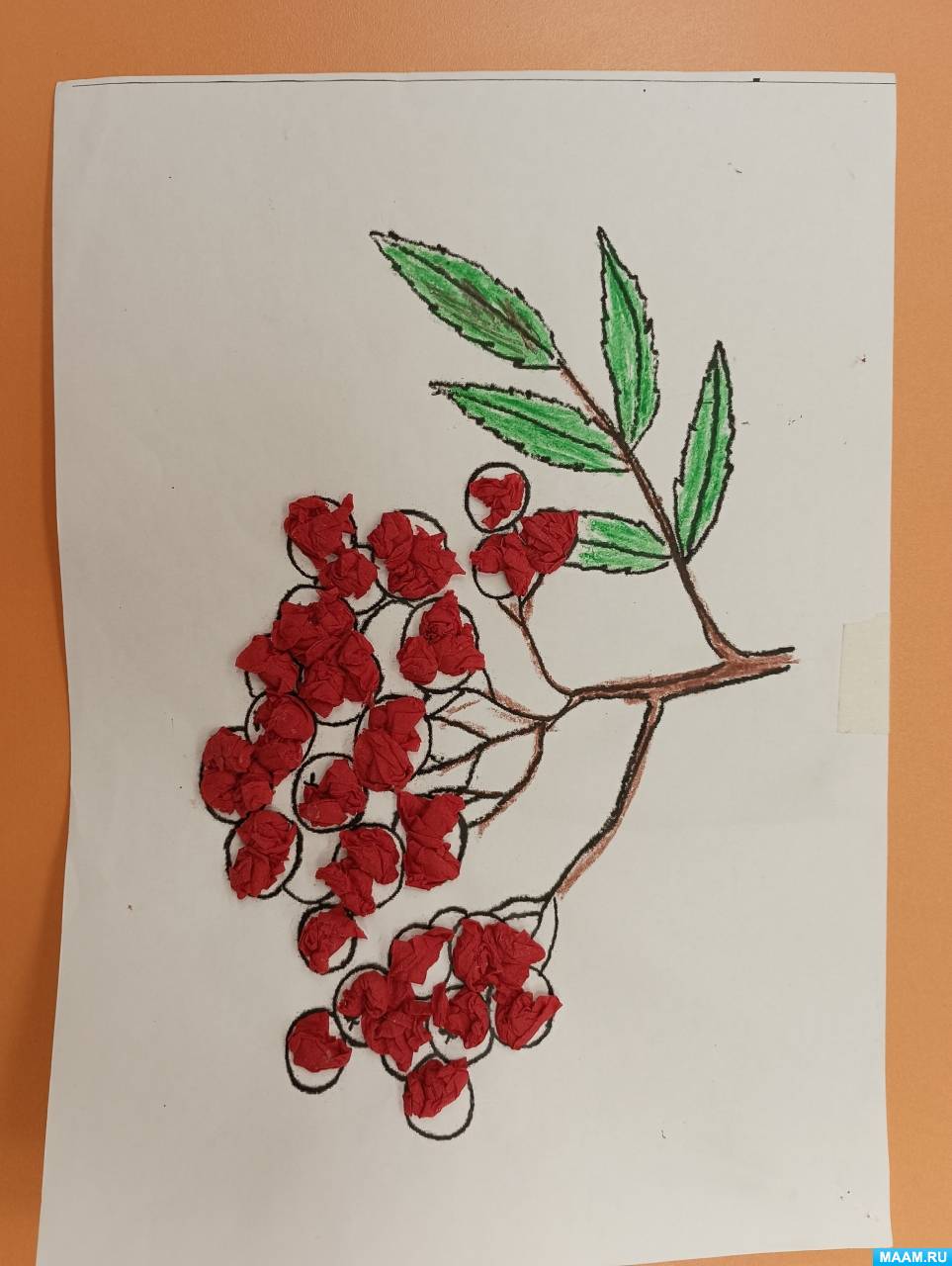 Ветка рябины рисунок