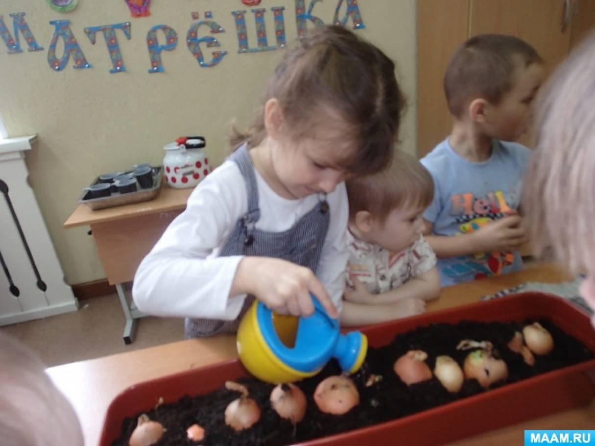 Что такое лук для детей. Смотреть фото Что такое лук для детей. Смотреть картинку Что такое лук для детей. Картинка про Что такое лук для детей. Фото Что такое лук для детей