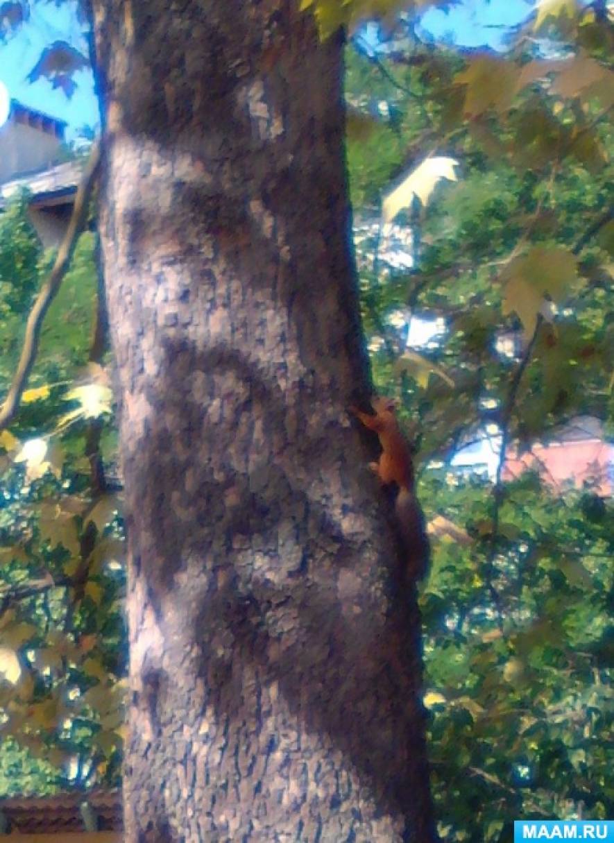 ��������� ��������� ������� ����� ��������� �����, ����������� � ������ ���������