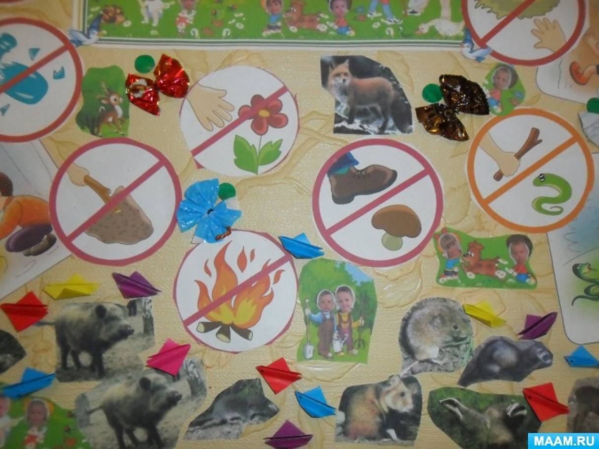 Средняя группа занятие мир природы. Коллаж по экологии. День защиты животных плакат. Коллаж защита природы. Плакат по экологии в ДОУ.