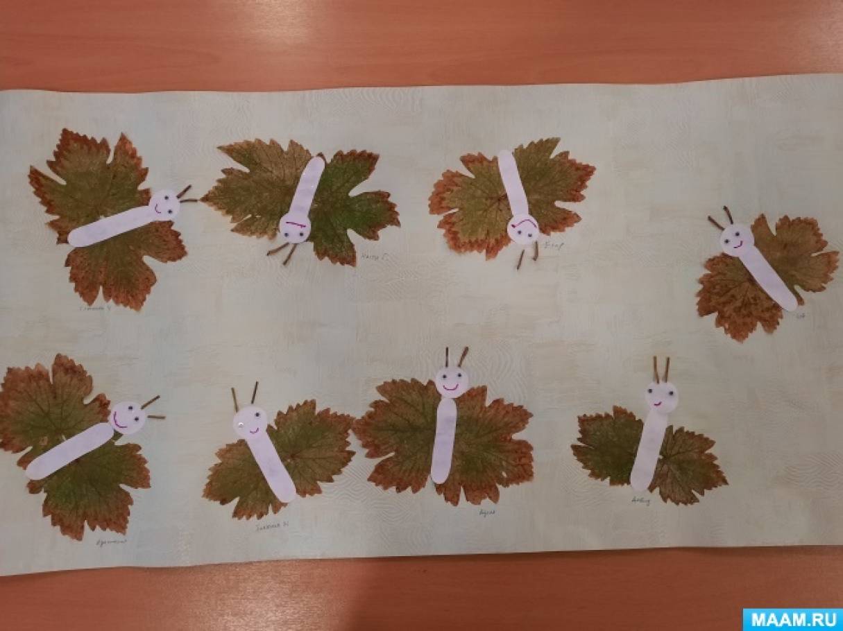 Мастер-класс коллективной работы по аппликации из природного материала «Осенний хоровод бабочек» с детьми средней группы
