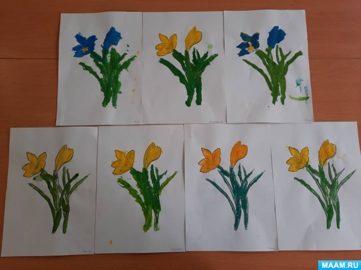 Первоцветы занятие в старшей группе. Первоцветы 2 младшая группа. Рисование цветы старшая группа. Рисование первоцветы в младшей группе. Рисование первоцветы в детском саду.