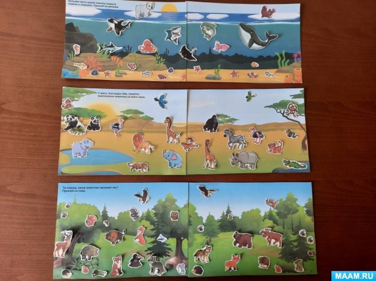 Дидактическая игра «Какие животные населяют леса, жаркие страны, моря и океаны» для детей старшей группы