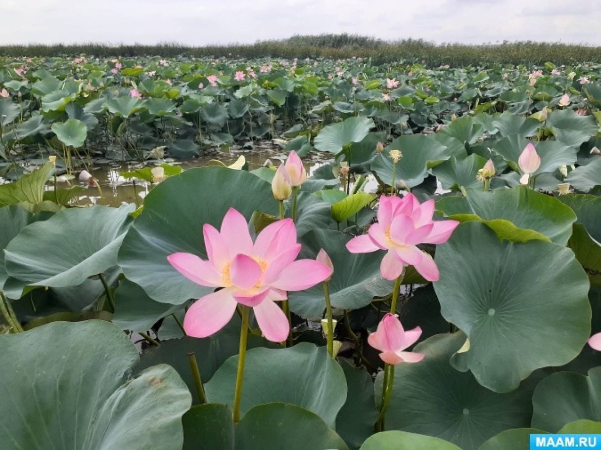 ��������� � ������ ������� � ������������� ������