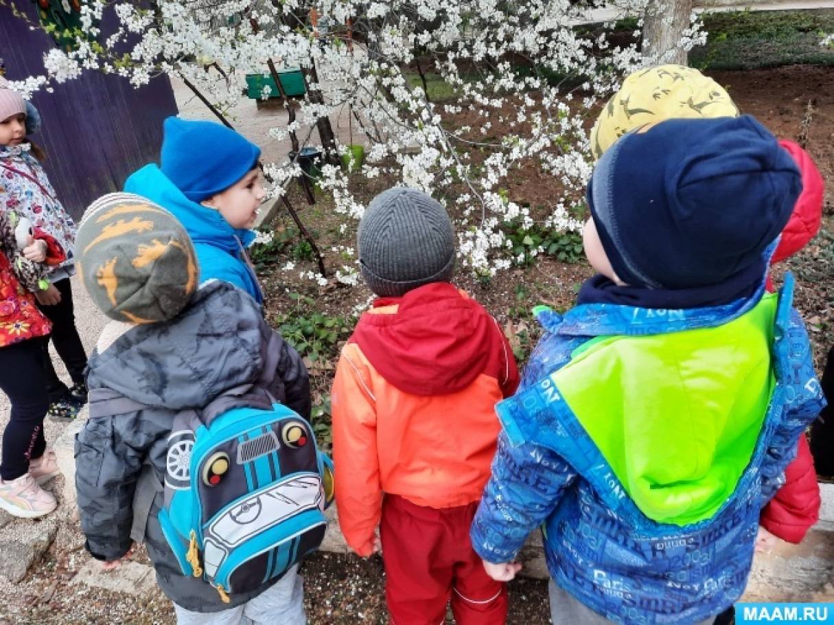 Конспект прогулки со сравнительным наблюдением за цветущими деревьями с детьми средней группы