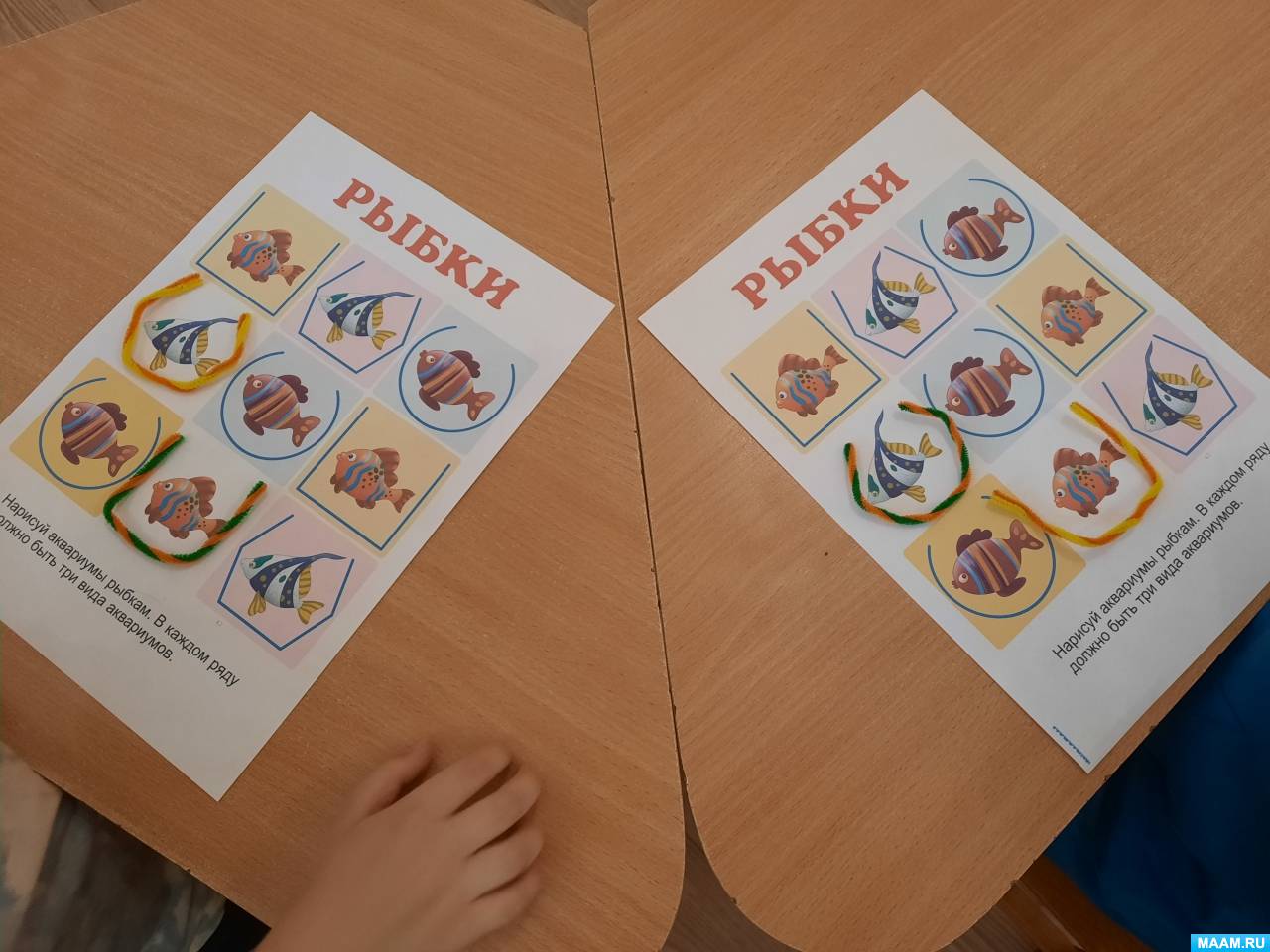 ������������� ���� ��������� ��� ����� ��� ����� ������� ������