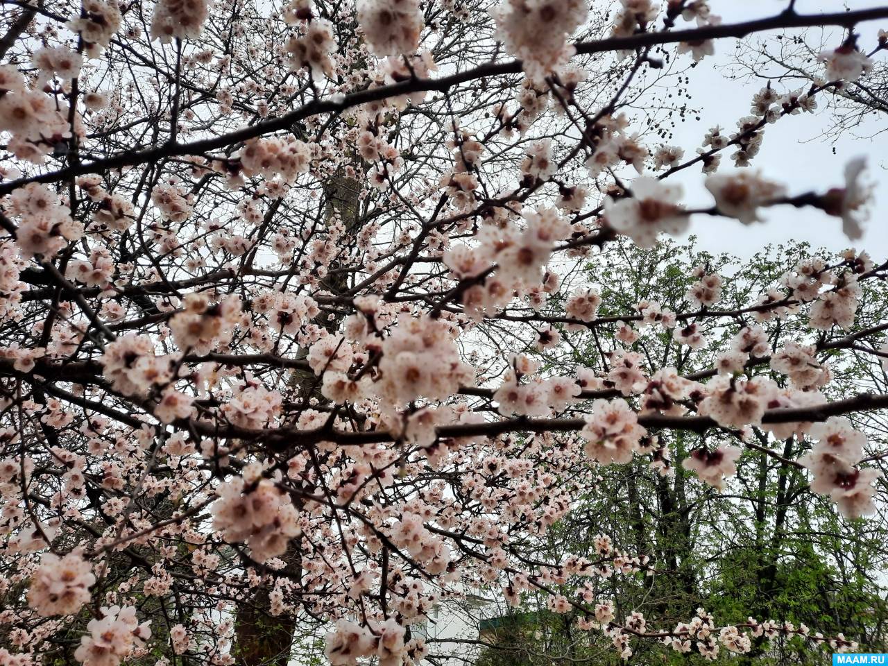 ��������. �������� �������� � ������ ���������������� � ����� ������