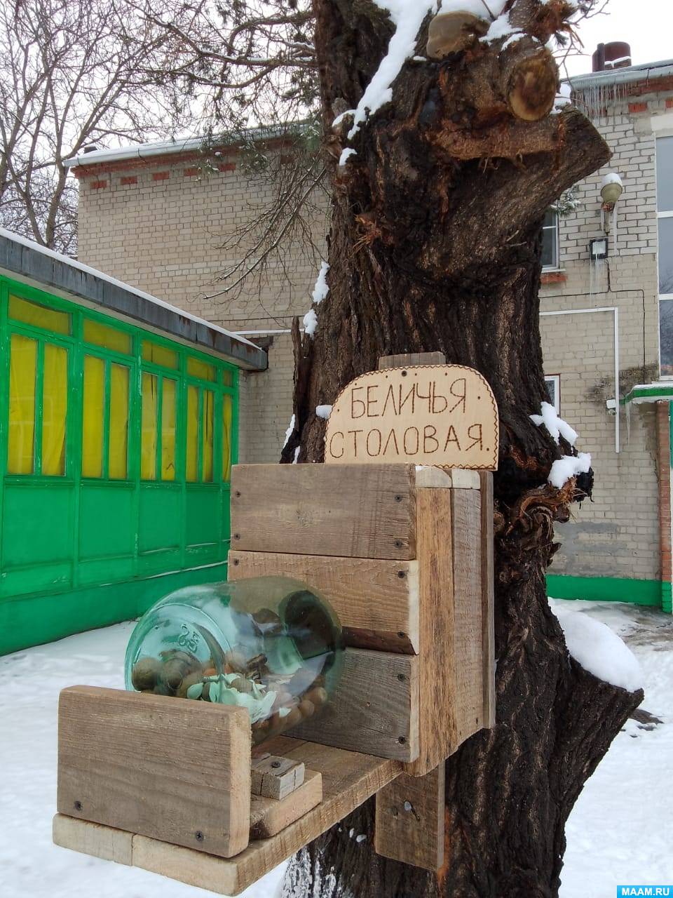 Смотреть фотографию №4 Фото №4 Но в этом году в нашем детском саду этой зимой поселилась белочка