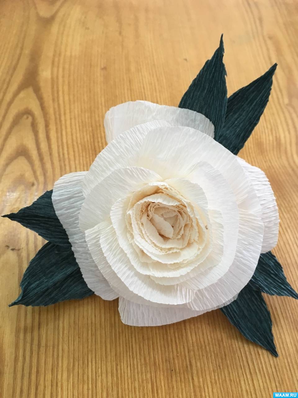 ��������� � ���������� ������� � ��������� ������� ����� ������������ ����� �� �����������