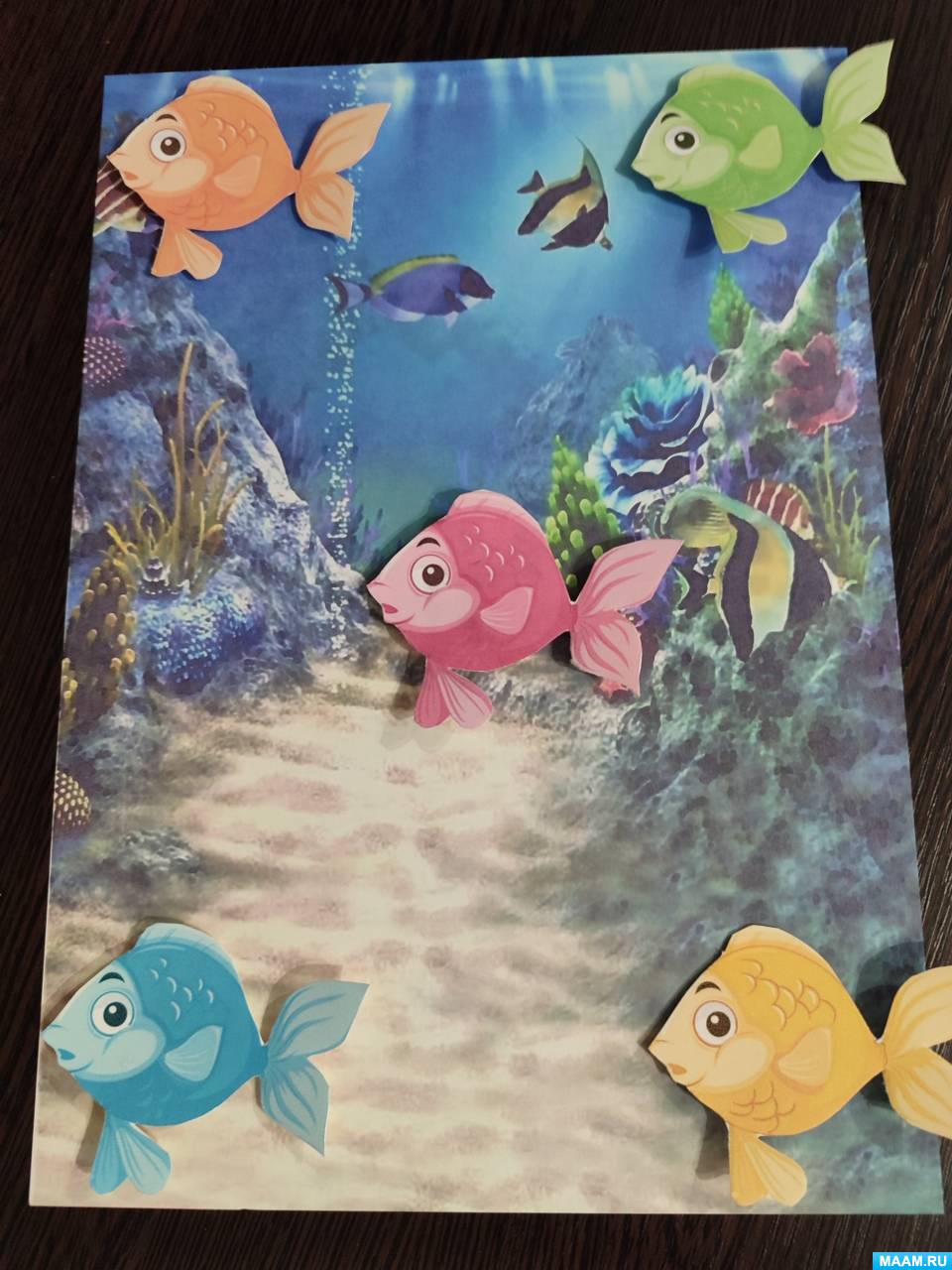 ������-����� �� ������������ ������������� ���� �� �������� ���������