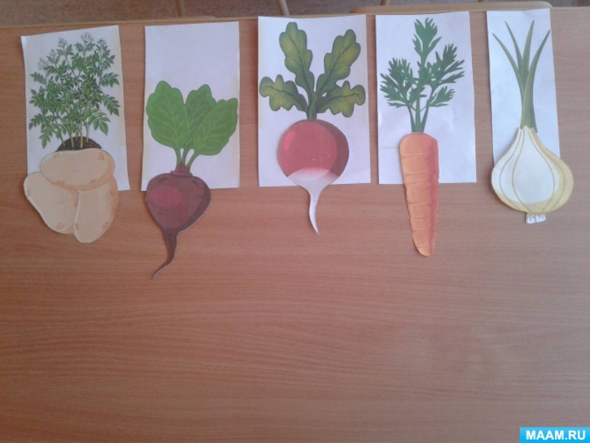 Овощи фрукты подготовительная группа. Аппликация на тему овощи. Рисование овощи и фрукты средняя группа. Рисование овощи в средней группе. Рисование овощи младшая группа.