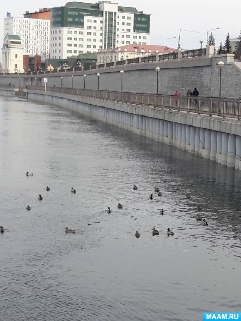 Фотоочерк о родном городе «Мысли вслух, или Каким я вижу Иркутск весной» Фото Фотоочерк о родном городе «Мысли вслух, или Каким я вижу Иркутск весной»