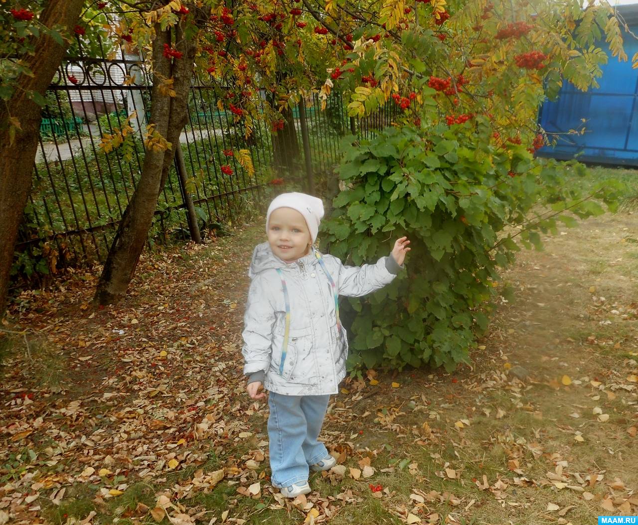 Смотреть фотографию №1 Фото №1 Экология защита природы