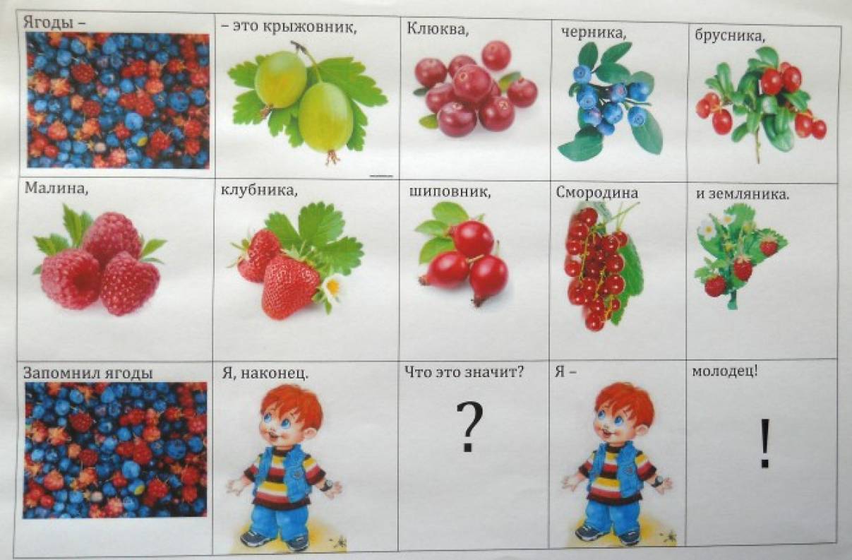 Схема описания ягод для дошкольников