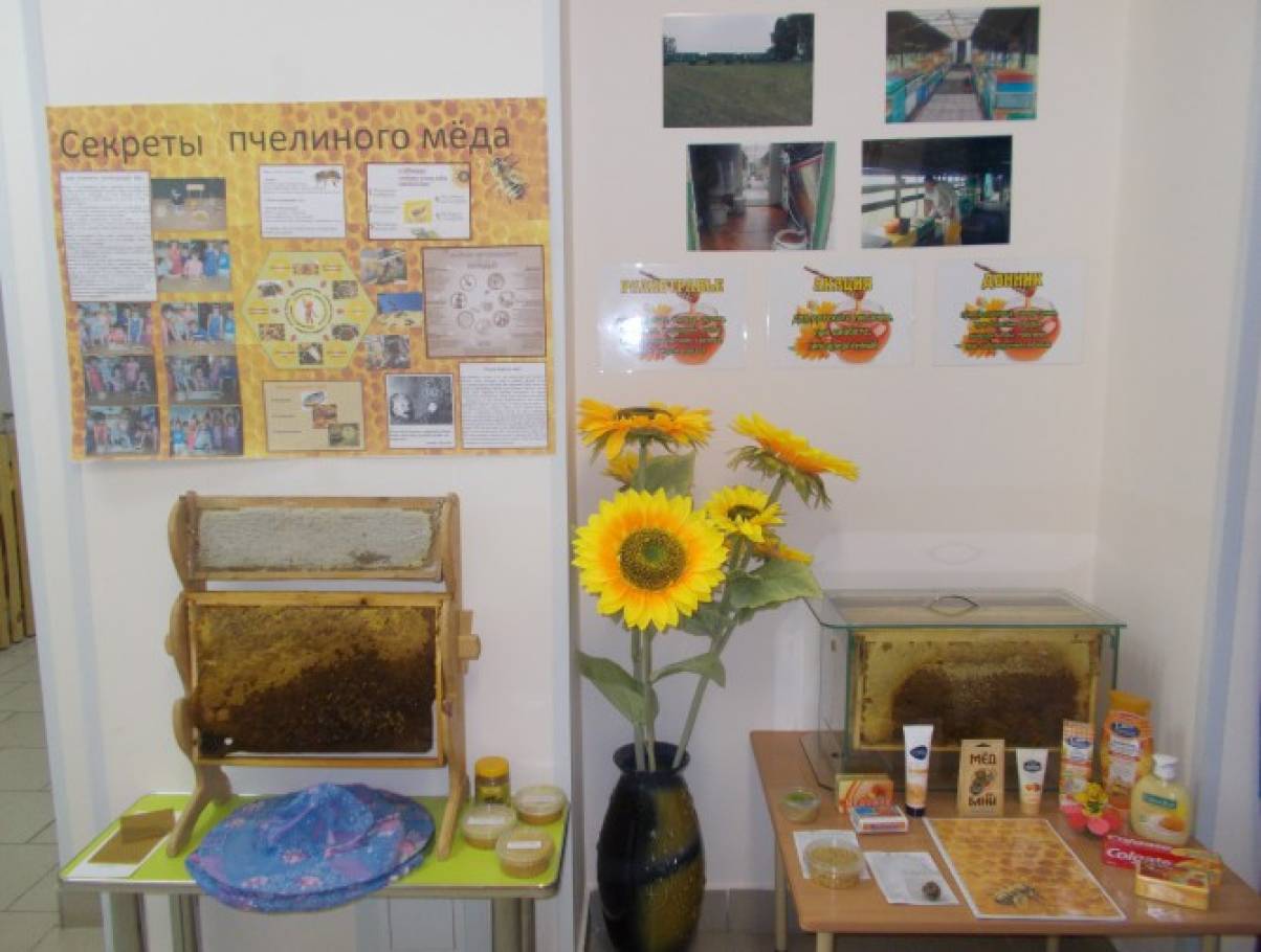 Проект «Секреты пчелиного мёда»