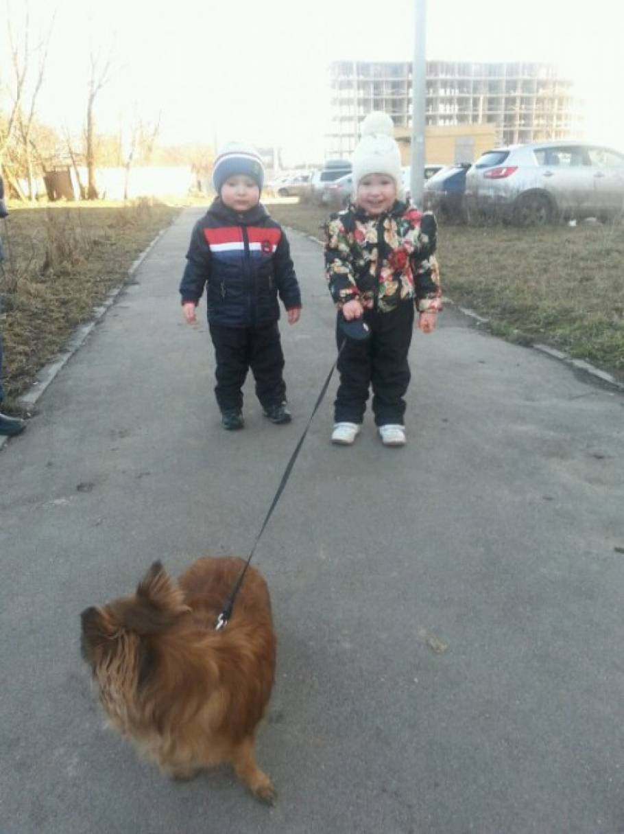 Смотреть фотографию №30 Фото №30 Когда я вырасту то тоже буду спортсменкой как мои папа и мама