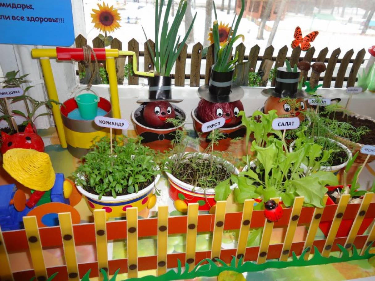 Огород на подоконнике в подготовительной группе оформление. Огород на окне. Огород на окне в детском саду. Огород на подоконнике в детском саду. Детский огород в детском саду.