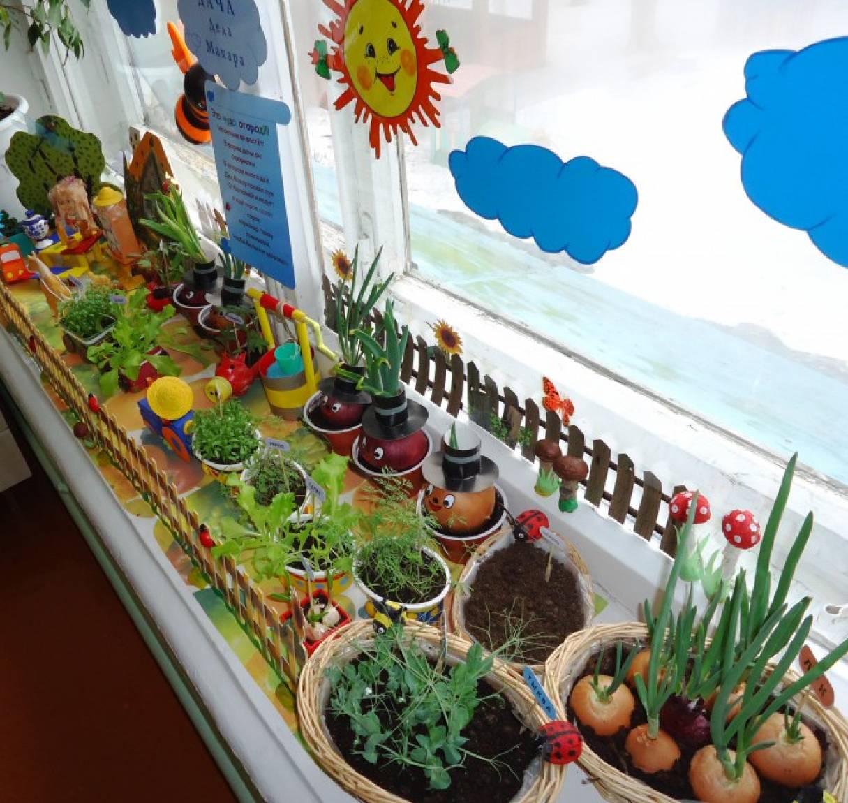 Огород на окне цветы. Огород на подоконнике. Огород на окне в детском саду. Сад огород на подоконнике в детском саду. Огород на подоконнике в детском саду.