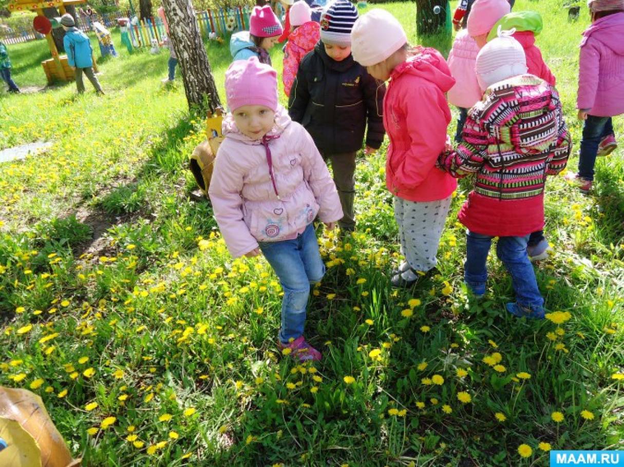 Весенние прогулки в средней группе. Дети на прогулке в саду. Весенняя прогулка в детском саду. Дети на прогулке весной. Наблюдение с детьми на прогулке.