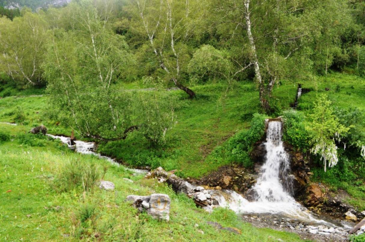 Жемчужина алтая это что. Смотреть фото Жемчужина алтая это что. Смотреть картинку Жемчужина алтая это что. Картинка про Жемчужина алтая это что. Фото Жемчужина алтая это что