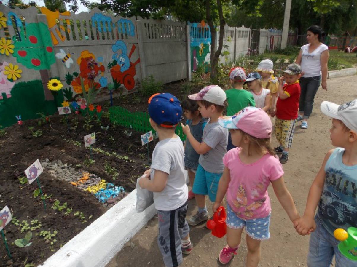 Экологические участки в детском саду. Участок в детском саду летом. Экологическая площадка в детском саду. Развивающая среда на участке детского сада. Участок для прогулок в детском саду.