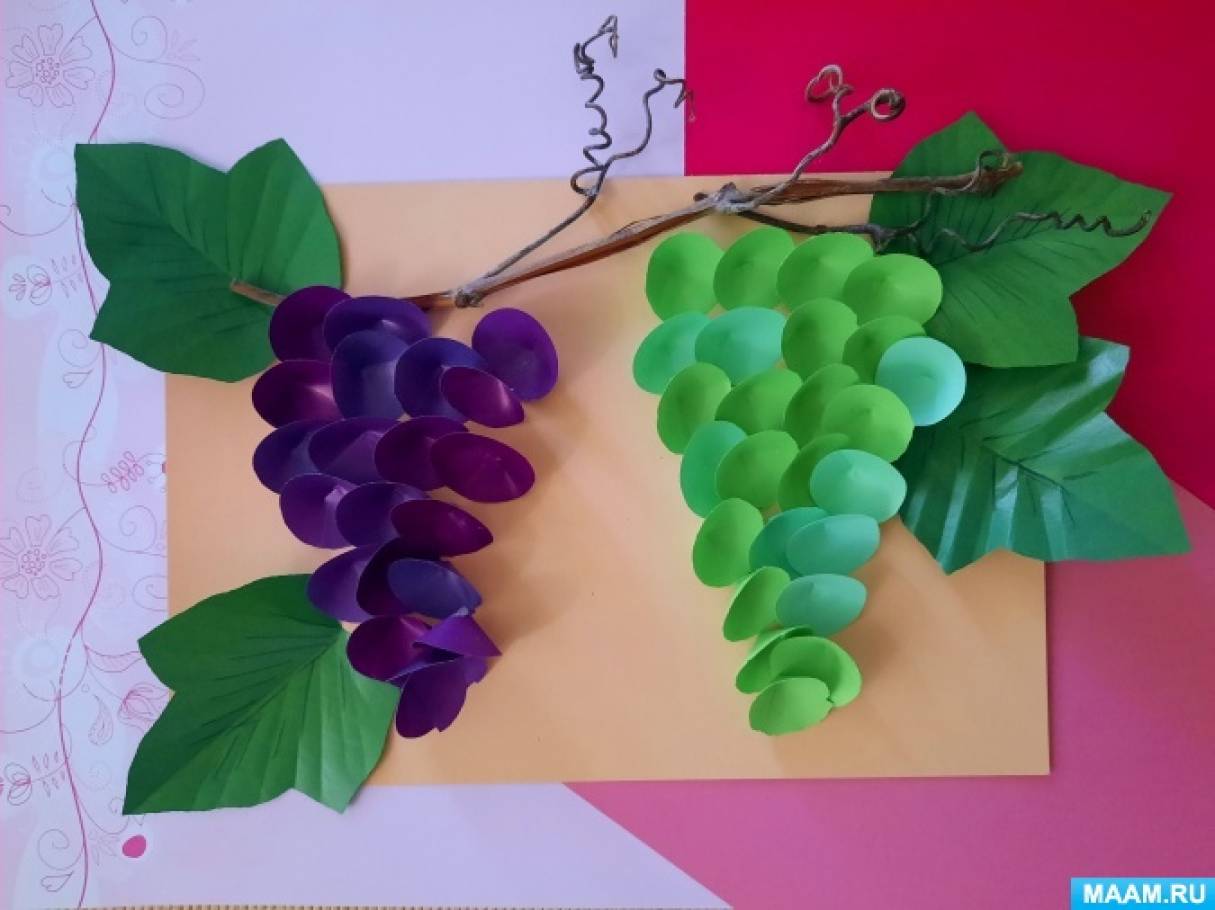 Мастер-класс по созданию панно «Виноградная лоза» из цветной бумаги и природного материала ко Дню винограда на МAAM