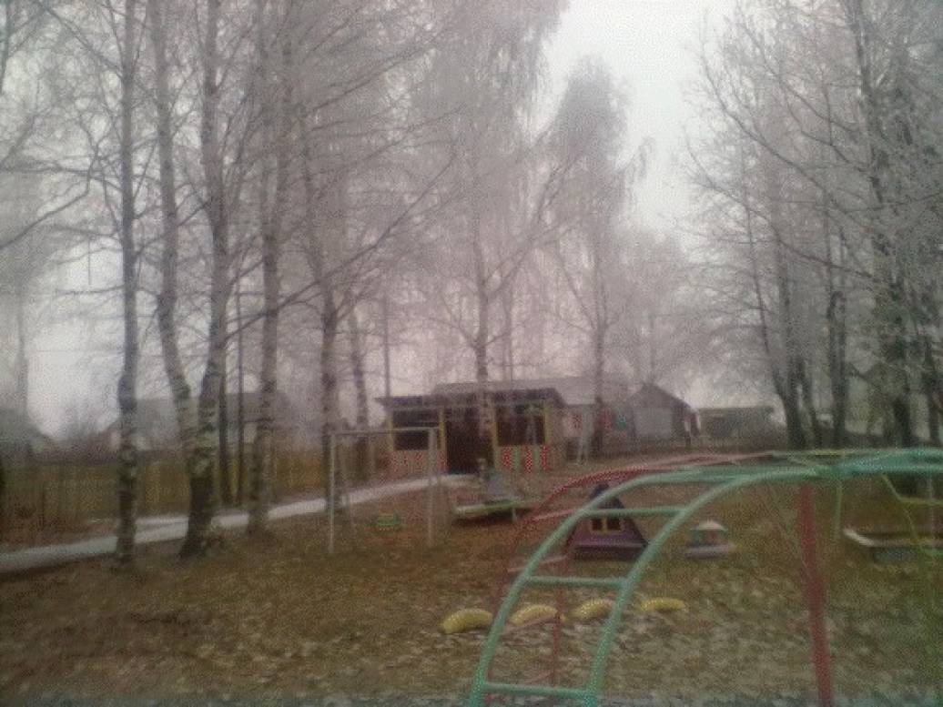 Система непрерывных наблюдений за природным объектом — березой Фото Система непрерывных наблюдений за природным объектом — березой