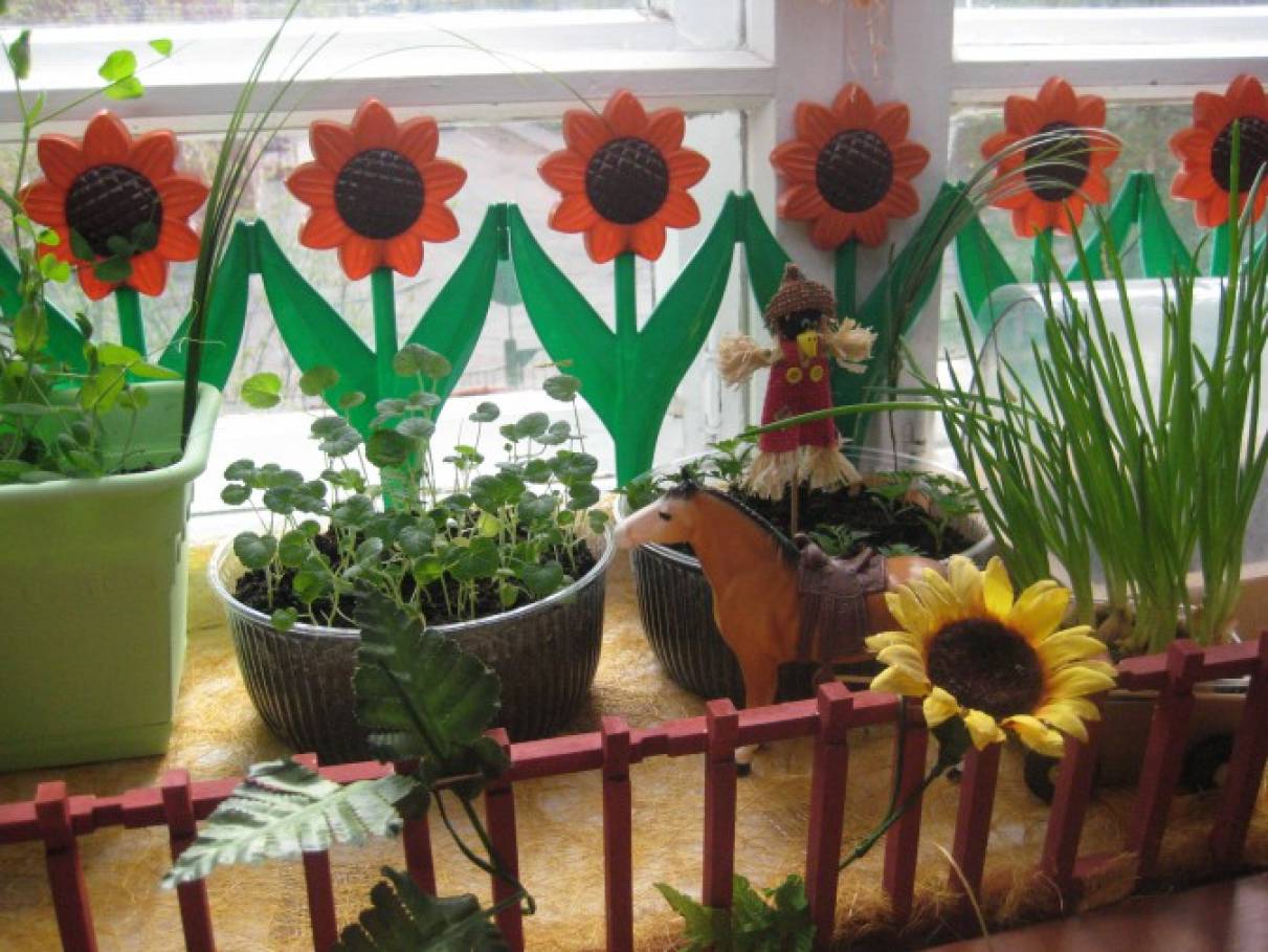Огород на окне цветы. Огород на окне. Огород на окне в детском саду. Огород на окошке в детском саду. Огород на подоконнике в детском саду.