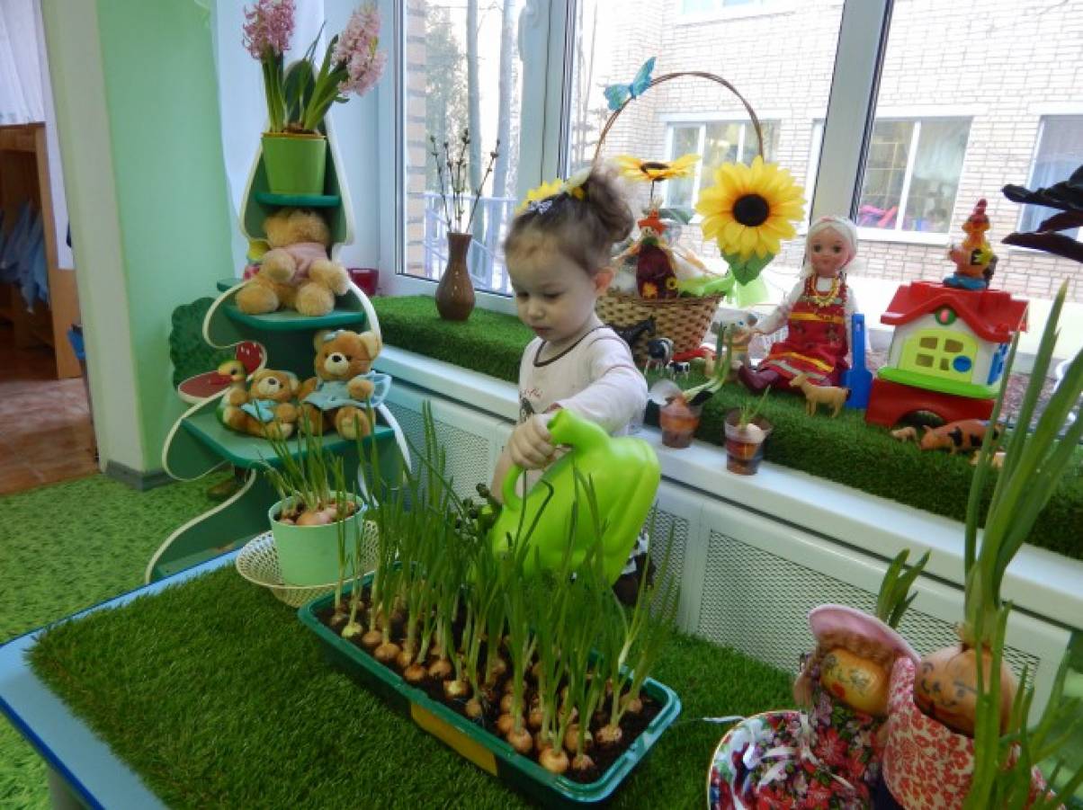 Лук лучок проект в младшей группе