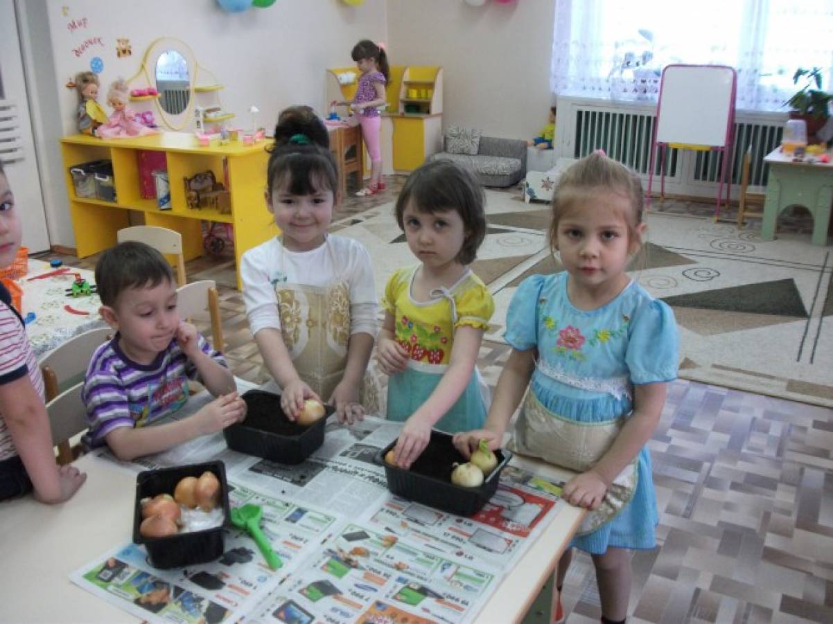 Проект «Огород на окне» (Освоение представлений детей среднего дошкольного возраста о росте растений) Фото Проект «Огород на окне» (Освоение представлений детей среднего дошкольного возраста о росте растений)