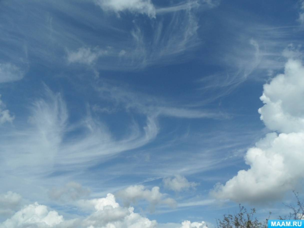 Фотозарисовка «Плывут неведомо куда по небу облака…» ко Дню наблюдения за облаками