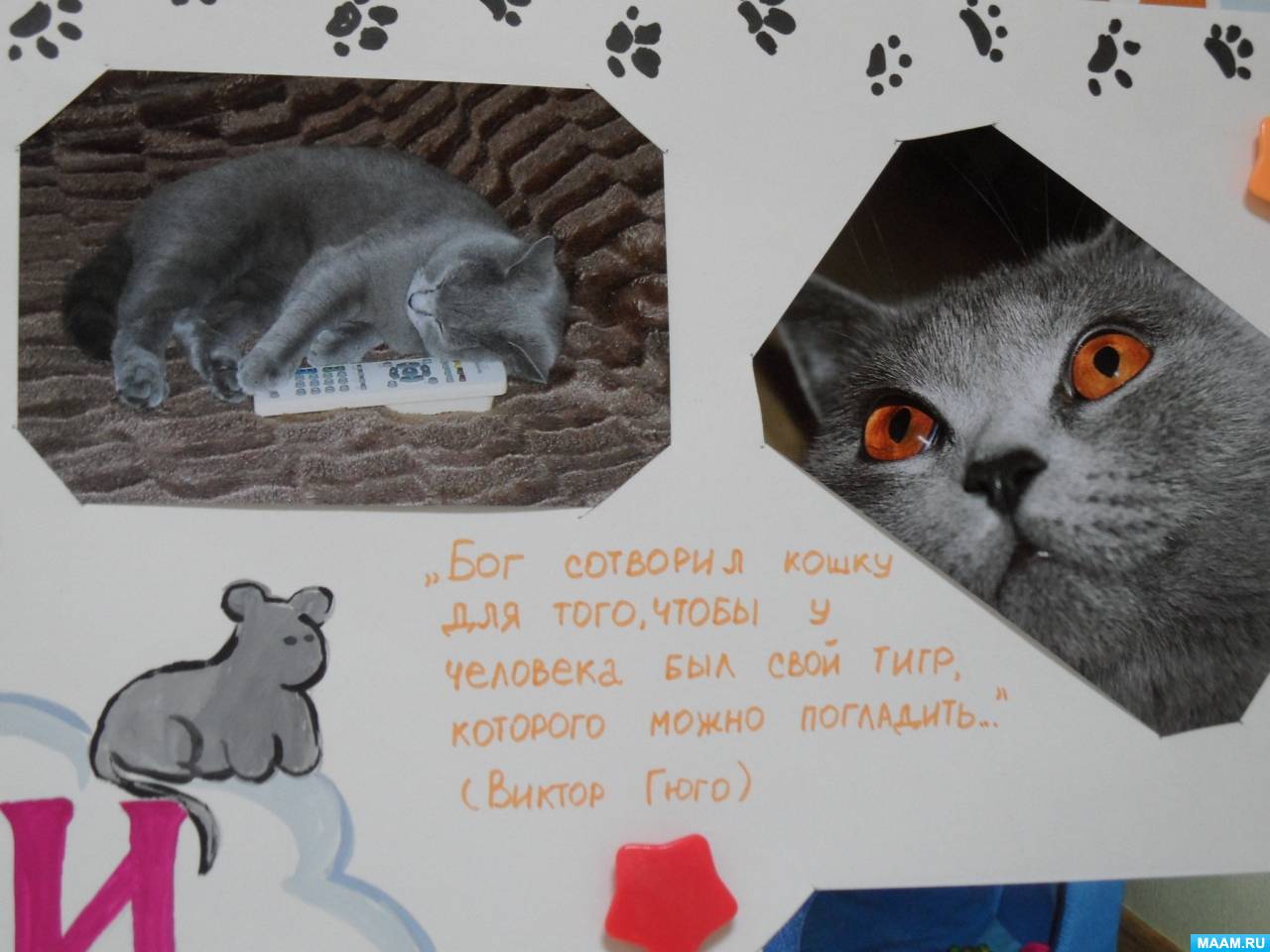 Плакат ко дню защиты детей в детском саду. День защиты животных в первой младшей группе. Мероприятия. День защиты животных в первой младшей группе. Тематический день всемирный день животных старшая группа.