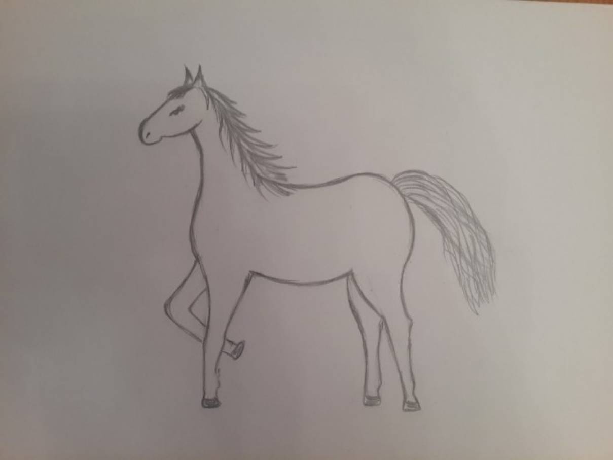 Лошадка 5 класс. Лошадь карандашом. Рисование лошади в подготовительной группе. Лошадь рисунок карандашом. Рисование конь в подготовительной группе.