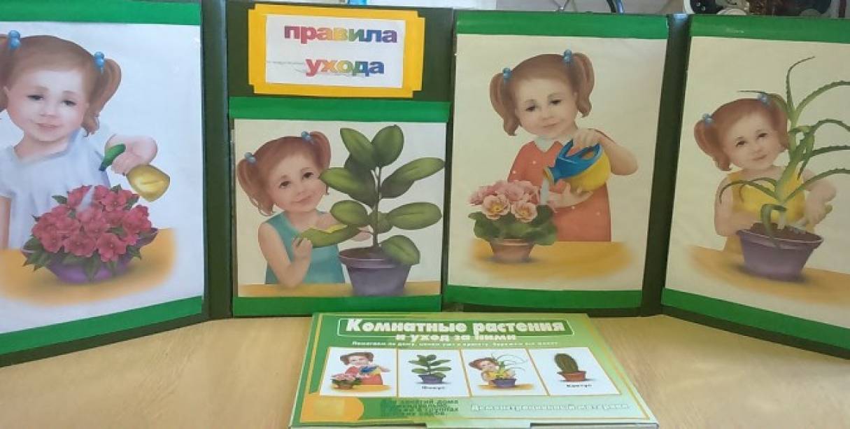 что нужно для роста растений картинки для детей. Смотреть фото что нужно для роста растений картинки для детей. Смотреть картинку что нужно для роста растений картинки для детей. Картинка про что нужно для роста растений картинки для детей. Фото что нужно для роста растений картинки для детей