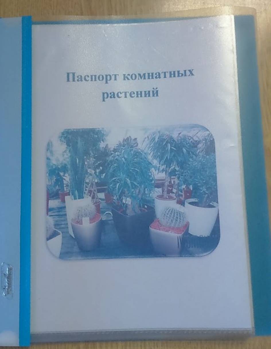 что нужно для роста растений картинки для детей. Смотреть фото что нужно для роста растений картинки для детей. Смотреть картинку что нужно для роста растений картинки для детей. Картинка про что нужно для роста растений картинки для детей. Фото что нужно для роста растений картинки для детей