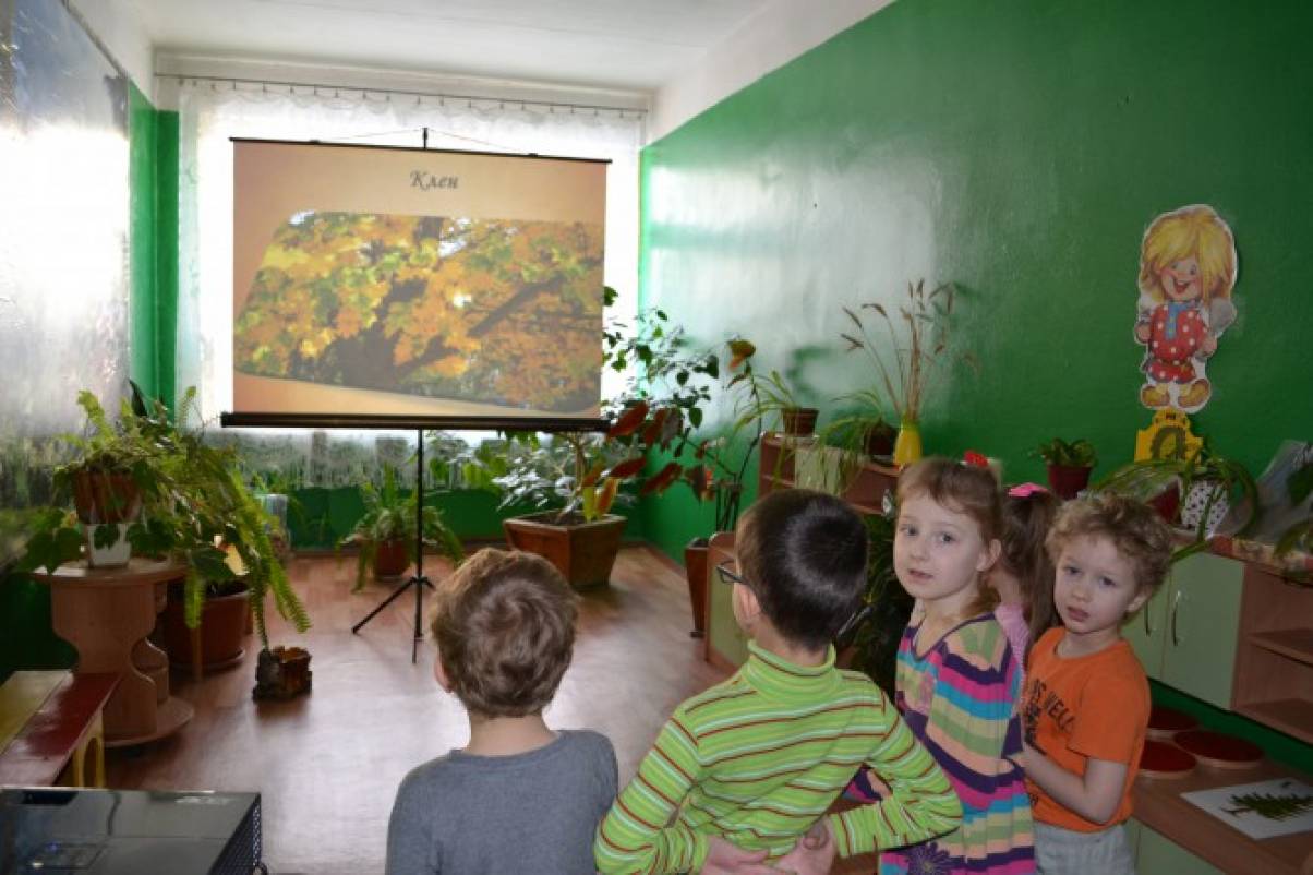 Полезное занятие на прогулке в лесу