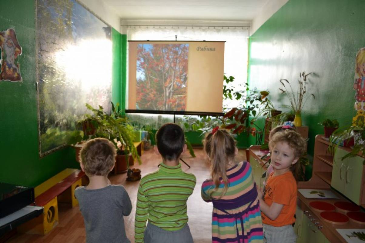Полезное занятие на прогулке в лесу