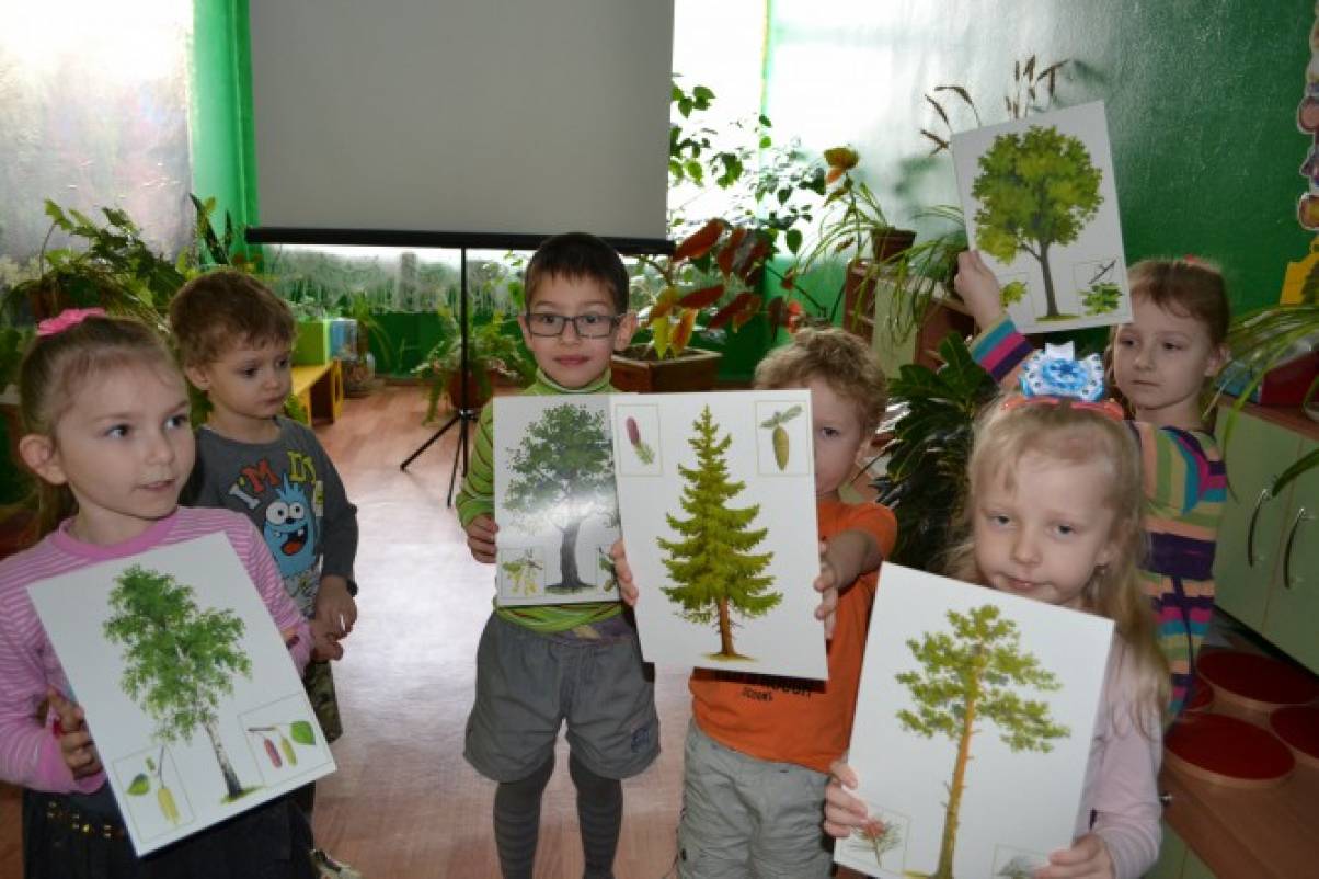 День леса в детском саду подготовительная группа. Занятие по экологии в детском саду. Экология в старшей группе. Экология занятия в старшей группе. Занятие по экологии в старшей группе.