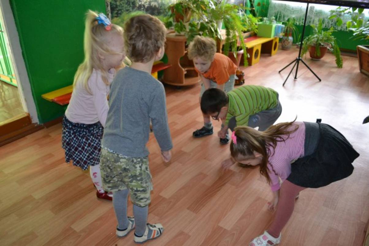 Полезное занятие на прогулке в лесу
