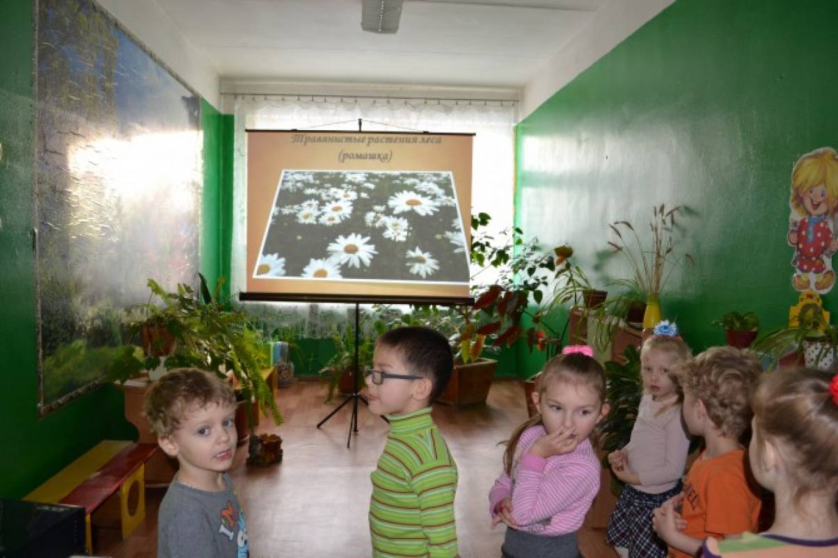 Полезное занятие на прогулке в лесу